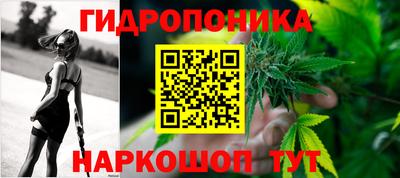 PSILOCYBIN Уссурийск