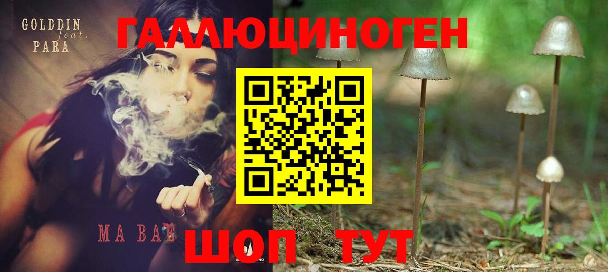 Галлюциногенные грибы GOLDEN TEACHER Нижнекамск