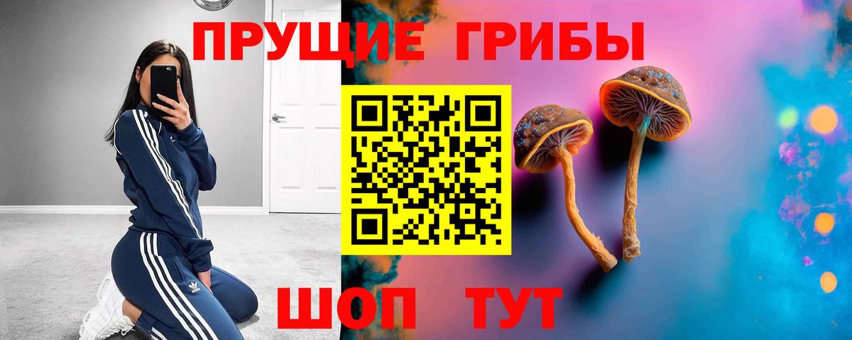 Псилоцибиновые грибы Magic Shrooms  Галлюциногенные грибы Psilocybe  где купить наркоту  Нижнекамск  Вход с VPN 